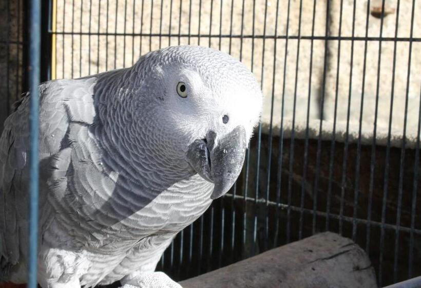 پانسیون Quinta Das Quintas & Spa