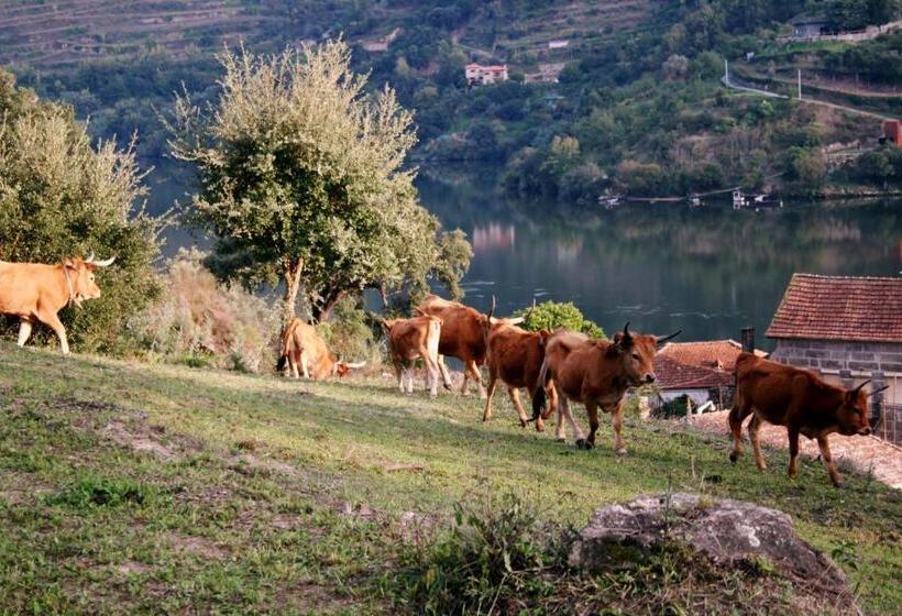 پانسیون Quinta Das Quintas & Spa