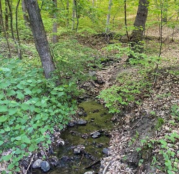 민박 Bagoly Kő Panzió Mátra Túraközpont
