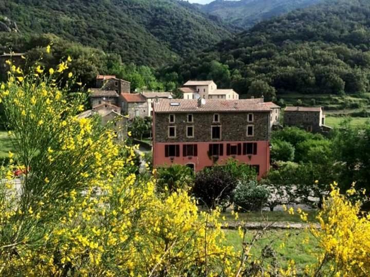 בית מלון כפרי Auberge Cevenole