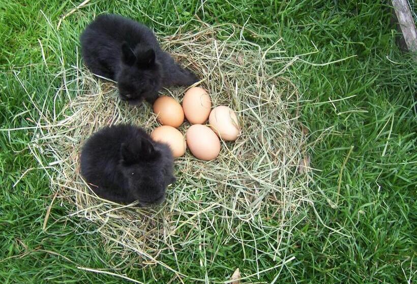 ホテル Obersanterhof