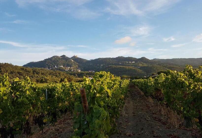 膳宿费 Santa Maria Casa Nostra