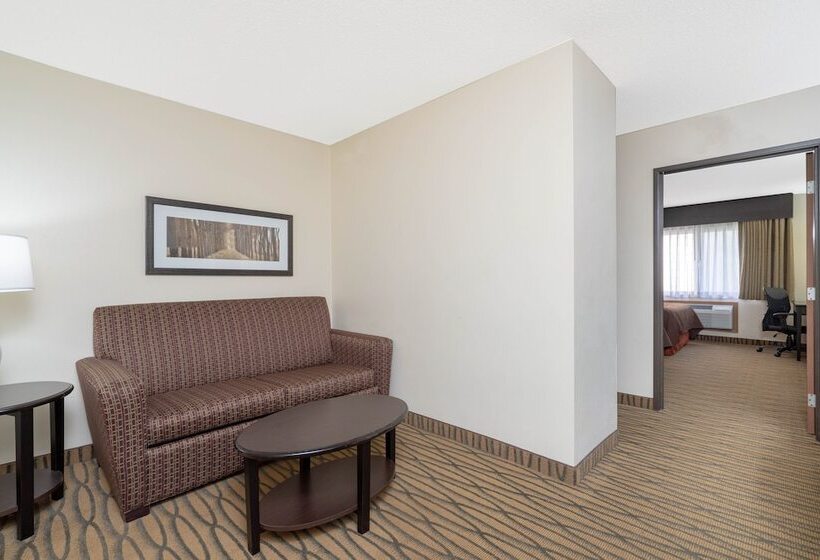 Aspen Hotel Rogers Formerly Americinn