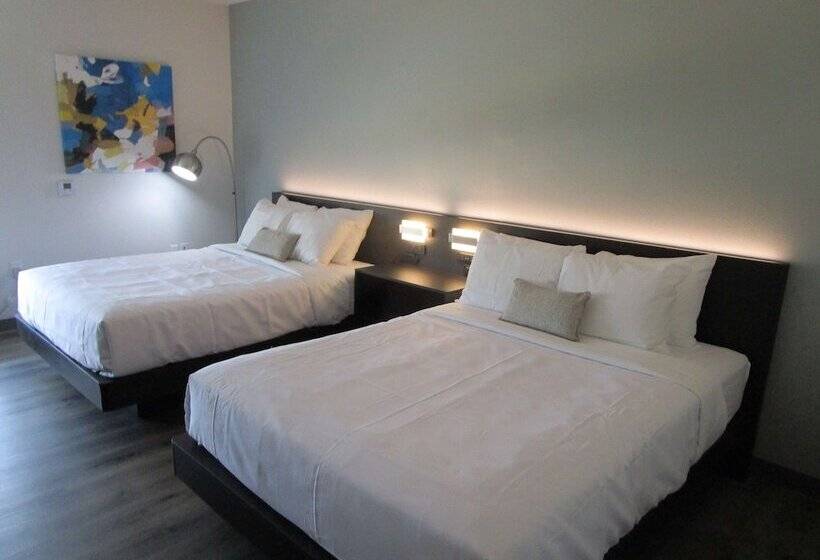 酒店 Best Western Iowa   Lake Charles East