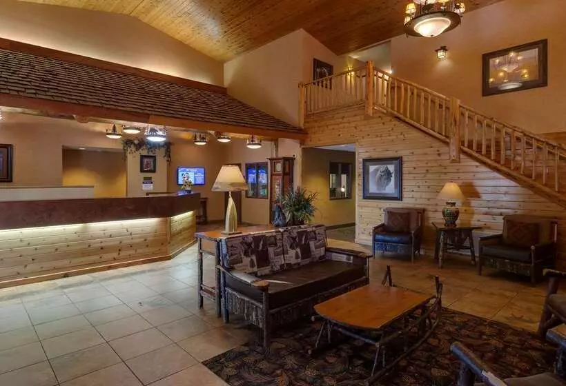 هتل Best Western Plus Kelly Inn And Suites