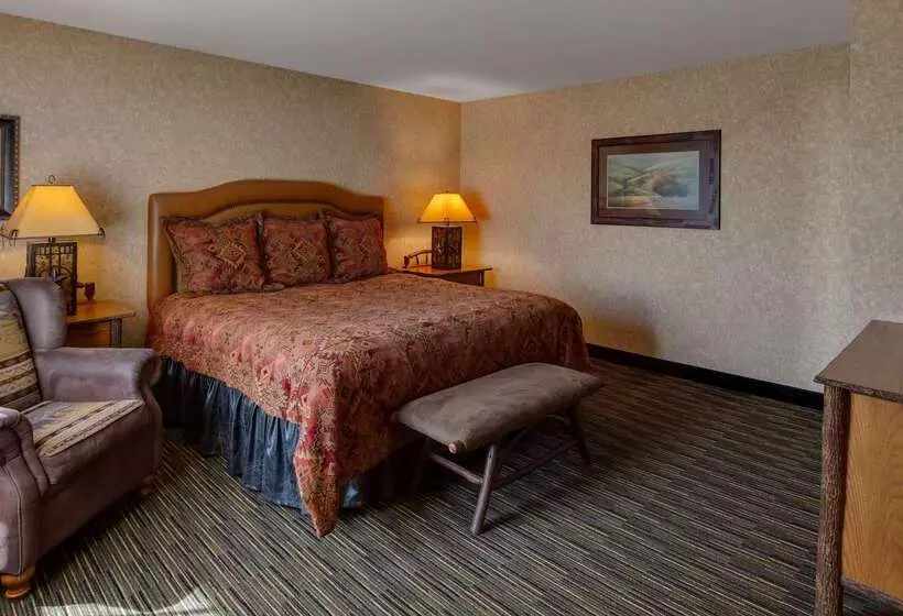 هتل Best Western Plus Kelly Inn And Suites