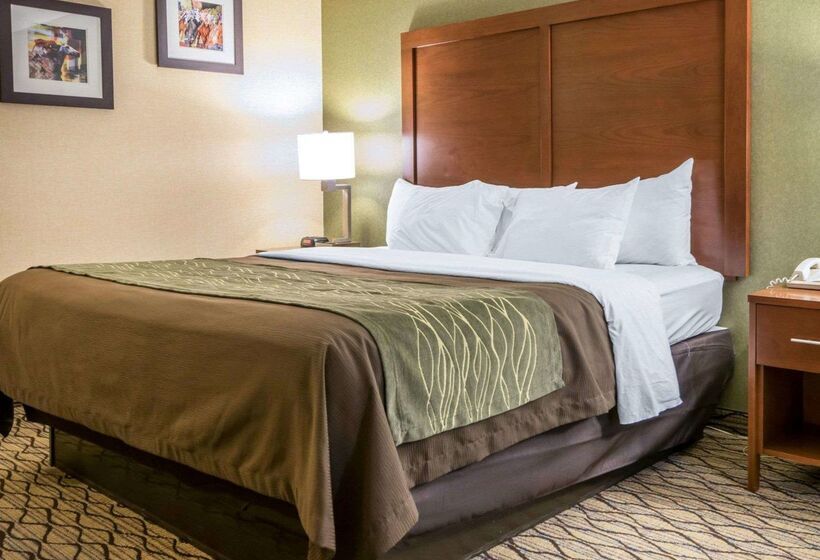 فندق Comfort Inn