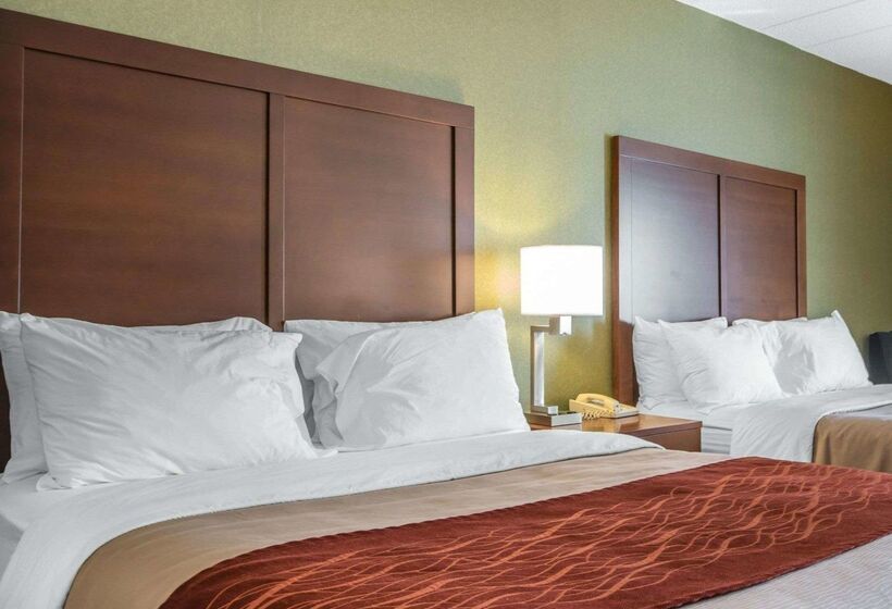 فندق Comfort Inn