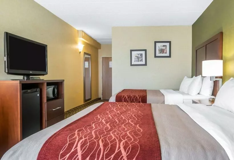호텔 Comfort Inn
