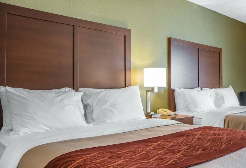 فندق Comfort Inn