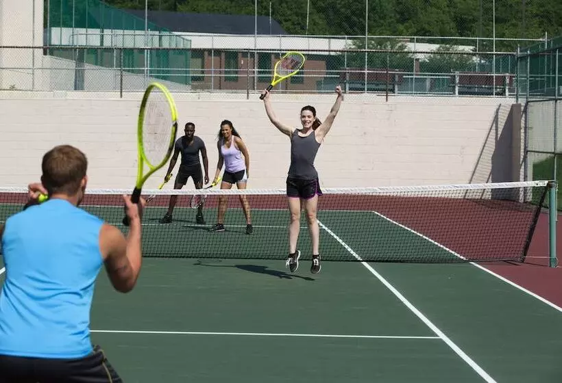 ホテル Cove Haven Resort