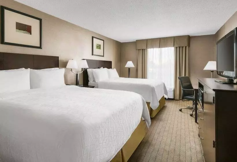 ホテル Holiday Inn Express Brockton   Boston By Ihg