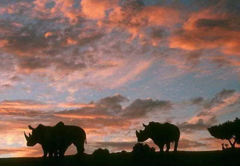 Отель Residence Inn San Diego Rancho Bernardo Scripps Poway