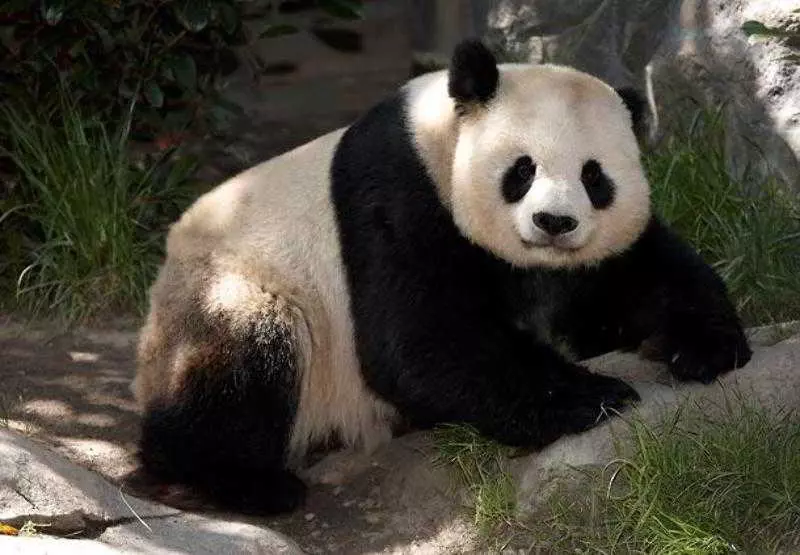 Отель Residence Inn San Diego Rancho Bernardo Scripps Poway