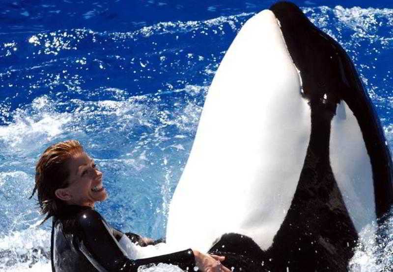 فندق Residence Inn San Diego Rancho Bernardo Scripps Poway