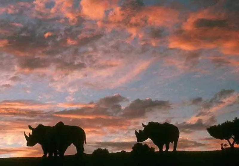 Отель Residence Inn San Diego Rancho Bernardo Scripps Poway