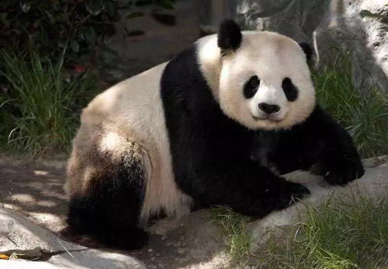 Отель Residence Inn San Diego Rancho Bernardo Scripps Poway