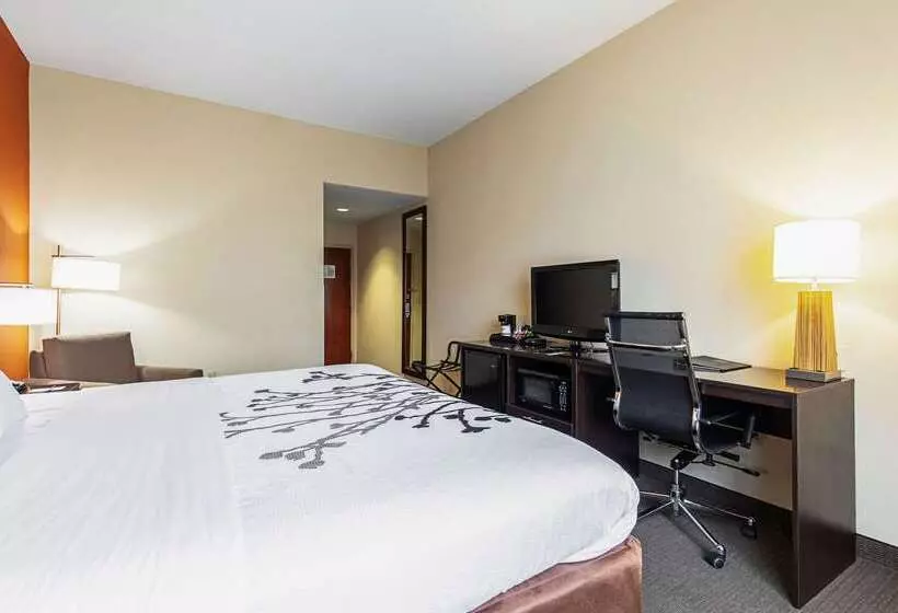 בית מלון כפרי Sleep Inn & Suites Dyersburg I155