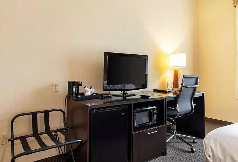 בית מלון כפרי Sleep Inn & Suites Dyersburg I155