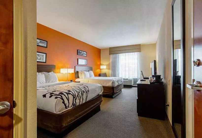 בית מלון כפרי Sleep Inn & Suites Dyersburg I155
