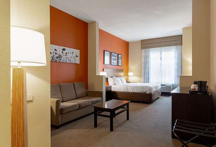 酒店 Sleep Inn & Suites Dyersburg I155