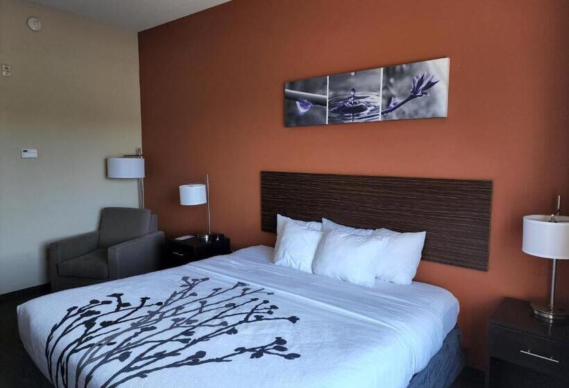酒店 Sleep Inn & Suites Dyersburg I155