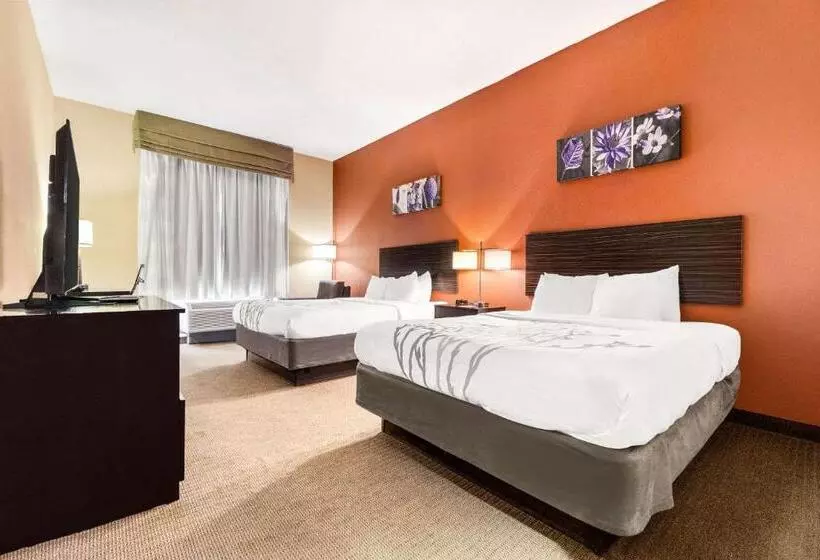 בית מלון כפרי Sleep Inn & Suites Dyersburg I155