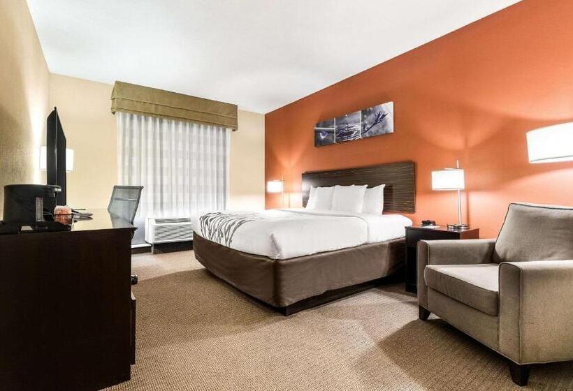 酒店 Sleep Inn & Suites Dyersburg I155
