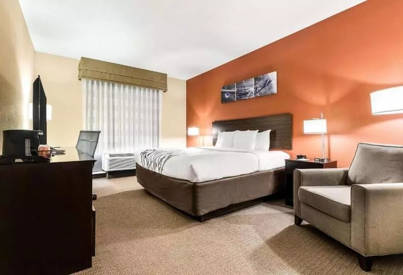 בית מלון כפרי Sleep Inn & Suites Dyersburg I155