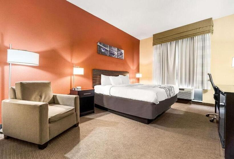 酒店 Sleep Inn & Suites Dyersburg I155