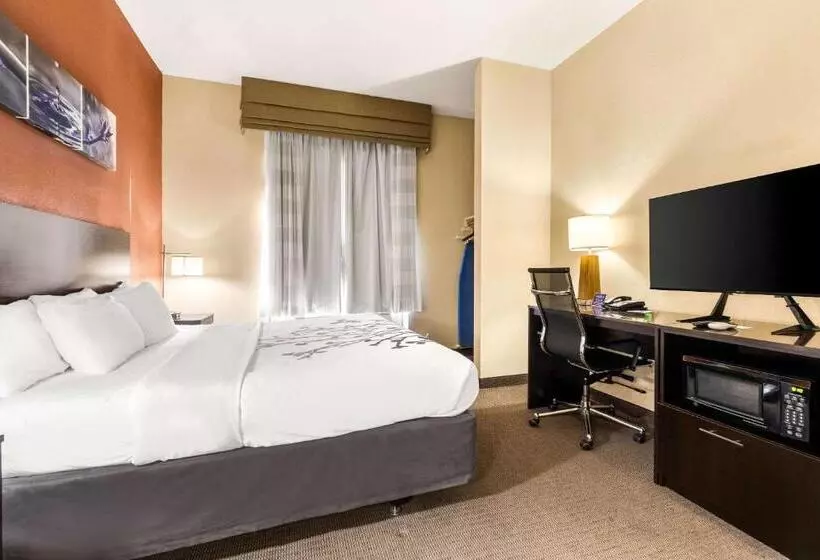 בית מלון כפרי Sleep Inn & Suites Dyersburg I155