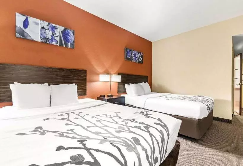 בית מלון כפרי Sleep Inn & Suites Dyersburg I155