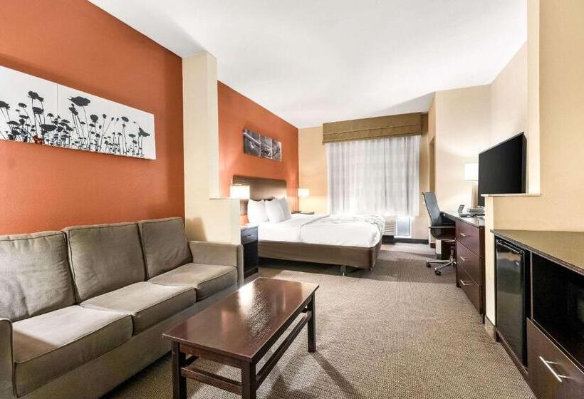 酒店 Sleep Inn & Suites Dyersburg I155