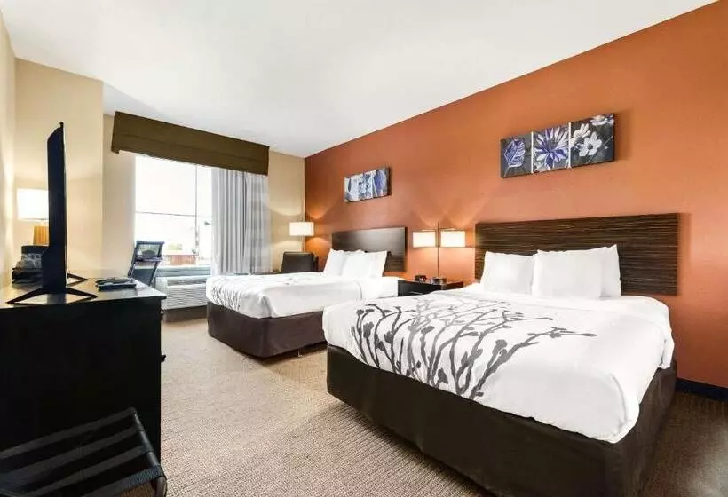 בית מלון כפרי Sleep Inn & Suites Dyersburg I155