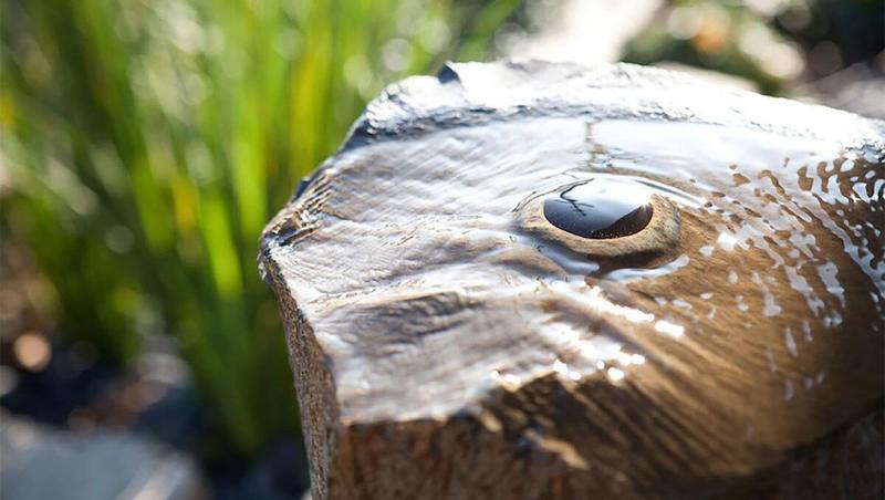 The Zen Hotel Palo Alto