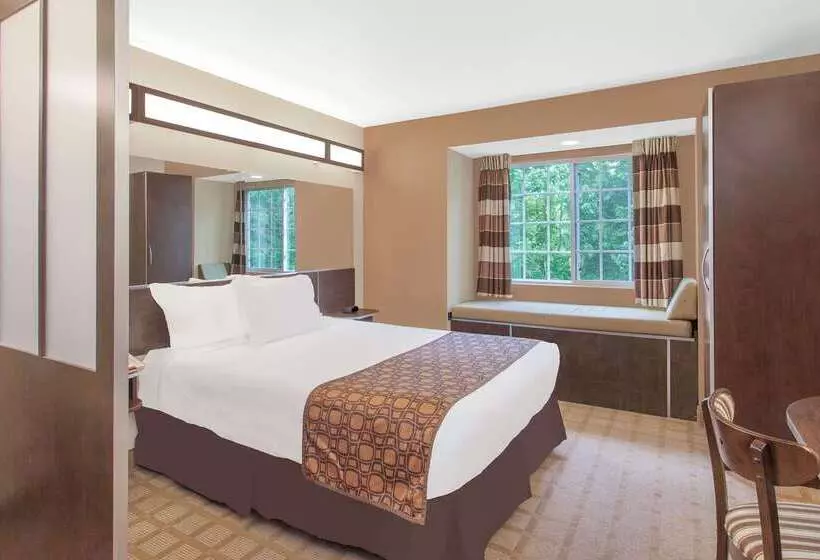 Microtel Inn & Suites By Wyndham Manchester