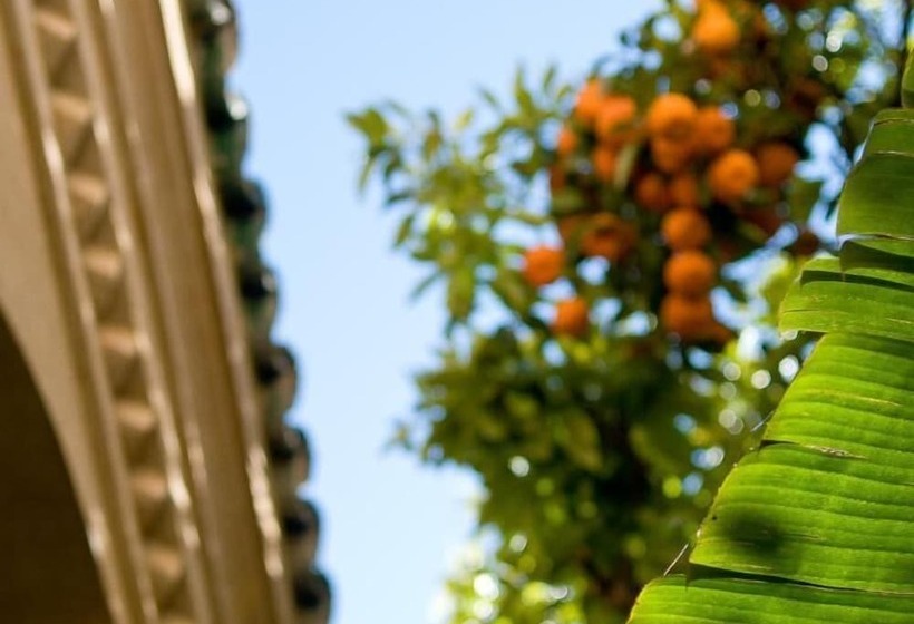 Riad La Maison D'à Côté