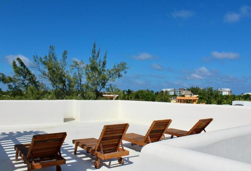 فندق San Pablo Villas