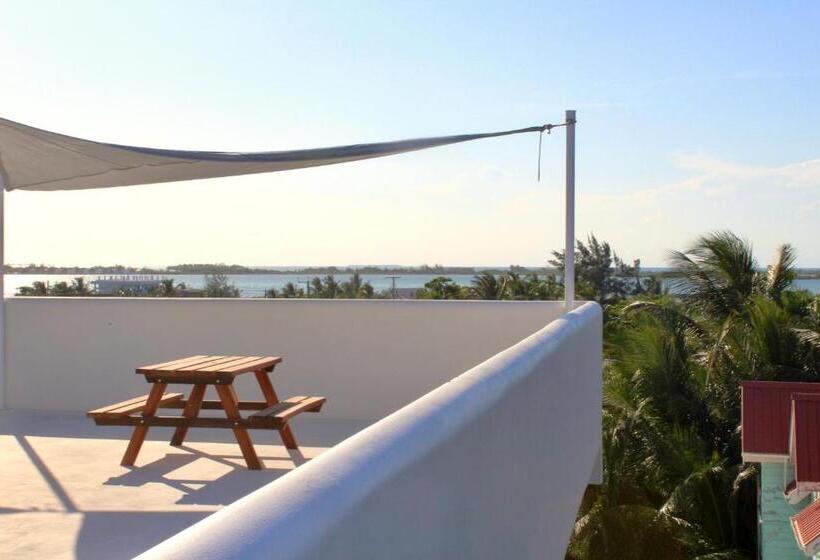 فندق San Pablo Villas