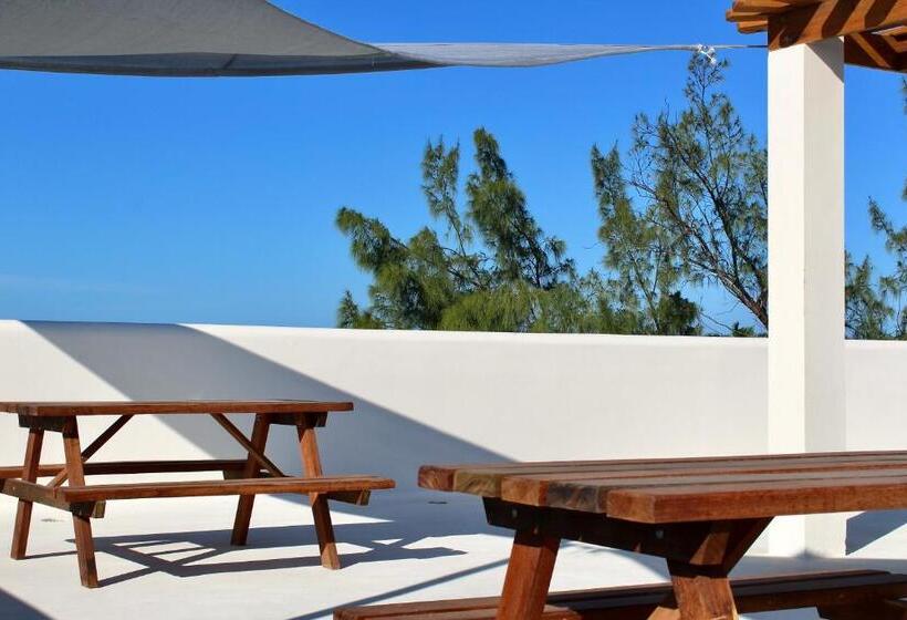 فندق San Pablo Villas