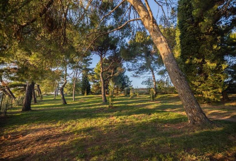 استراحتگاه Depandansa Bor