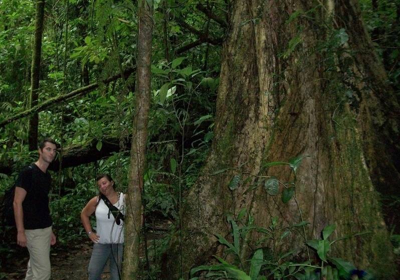 Blue River Resort & Hot Springs