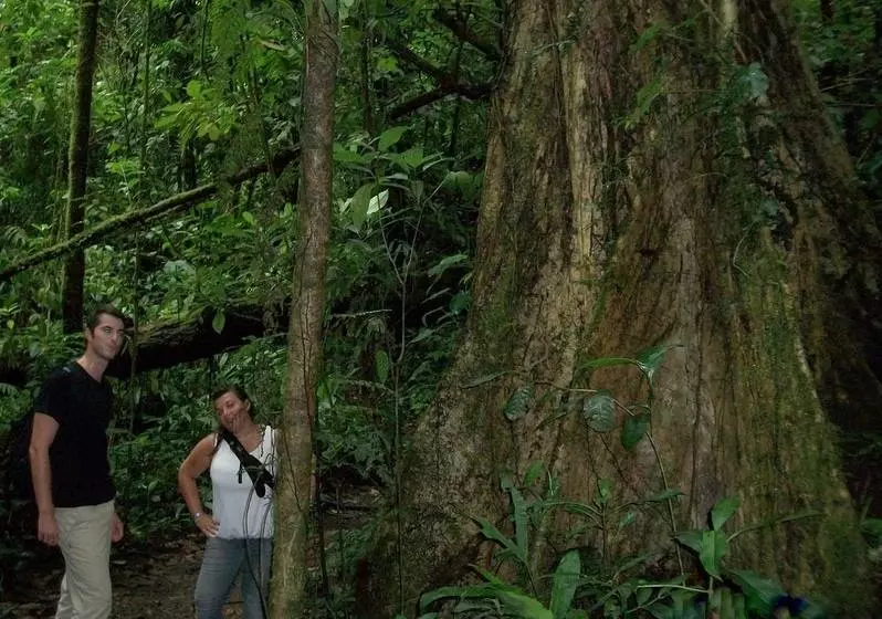 Blue River Resort & Hot Springs