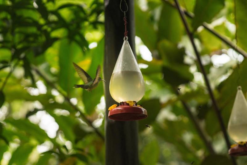 Blue River Resort & Hot Springs