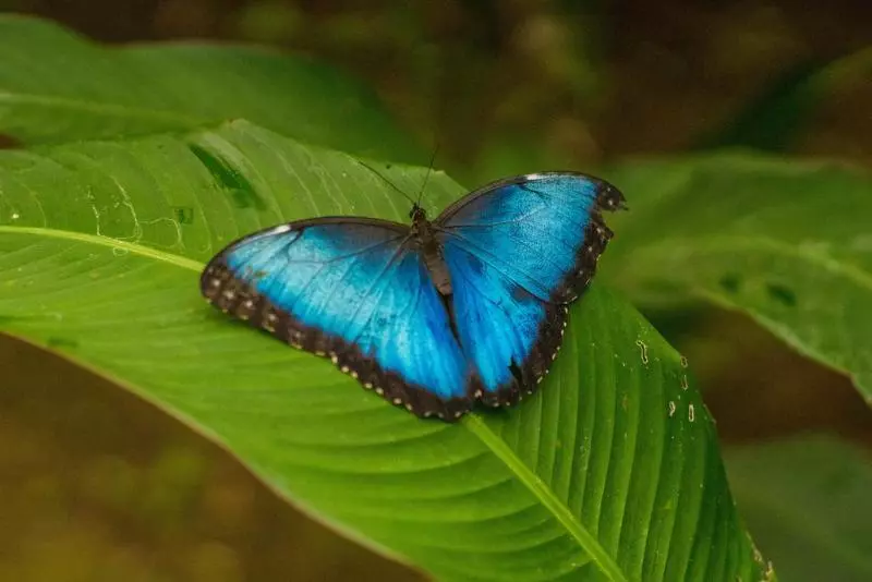 Blue River Resort & Hot Springs