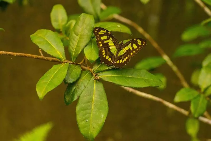 Blue River Resort & Hot Springs