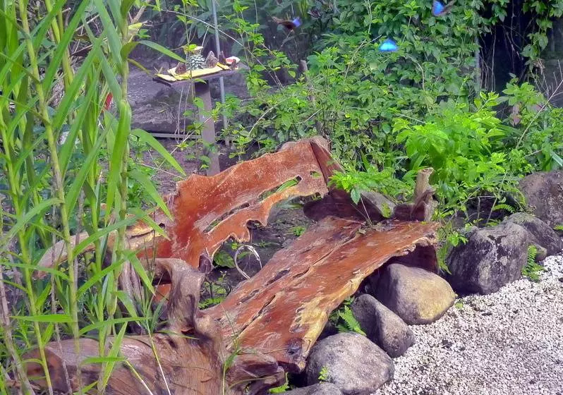 Blue River Resort & Hot Springs