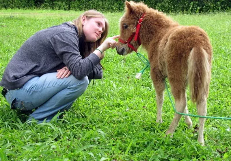 Blue River Resort & Hot Springs
