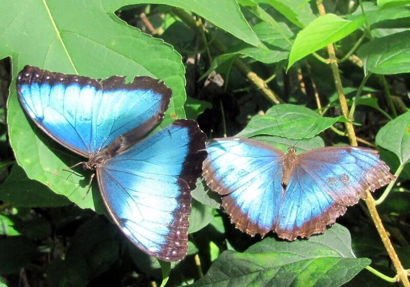 Blue River Resort & Hot Springs