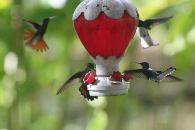 Blue River Resort & Hot Springs